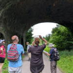 Rhondda Cynon Taff Wellbeing Walks (2026-2027)