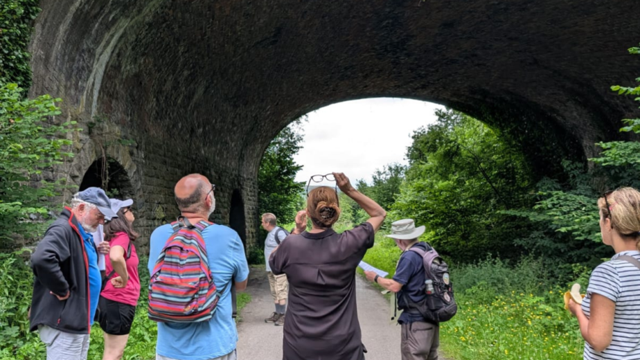 A group of people on a walk looking up at a bridge