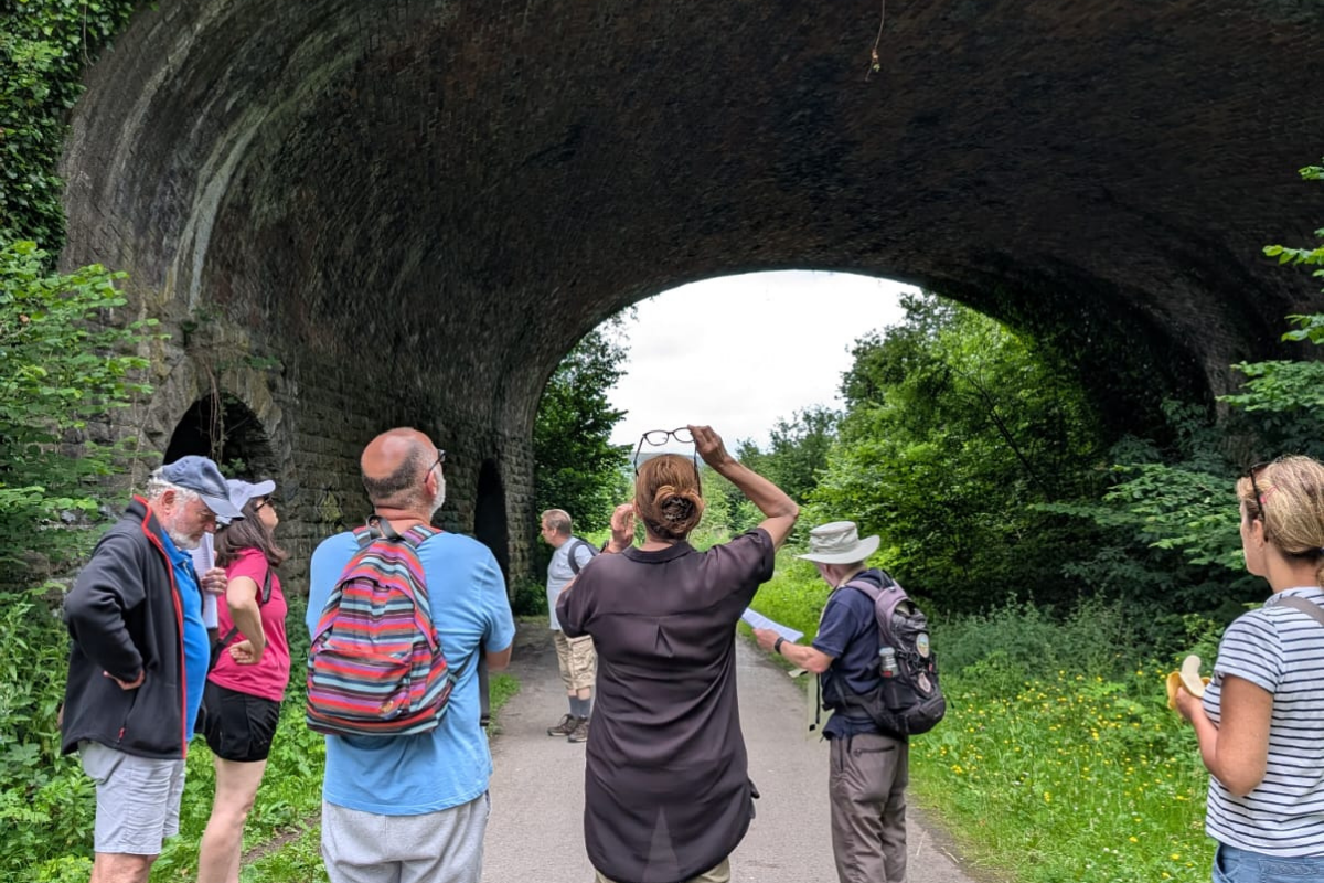 A group of people on a walk looking up at a bridge